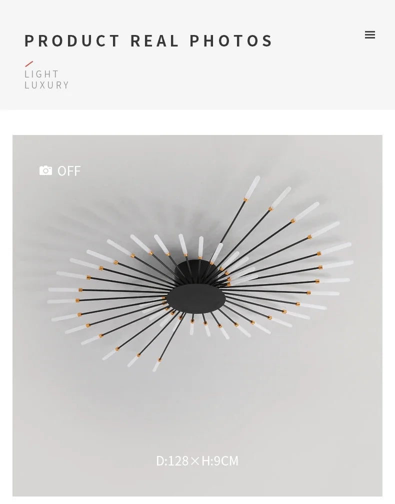 Modern Art Ceiling Light LED Luster Indoor - Shine Room